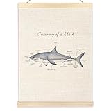 Ecezatik Anatomy of a Shark Poster Hanger Frame, Shark Wall Art, Shark Hanging Wall Decor for Classroom Nursery Boys Room, Beach Room Decor, Coastal Home Decor, Shark Gifts for Shark Lovers
