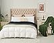 Longhui bedding Grobstrick-Überwurfdecke, leicht, olivgrün, 100% Bio-Baumwolle, Decke für Sofa, Couch, Bett, Baby, Kinderzimmer, rustikaler Shabby-Chic-Stil, modernes Bauernhaus, 129,5 x 160 cm,