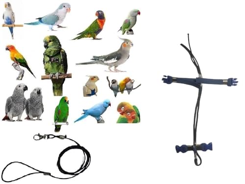 Pechera para loros elástica de cotorras a amazonas con correa de 1 m y hebillas regulables 2