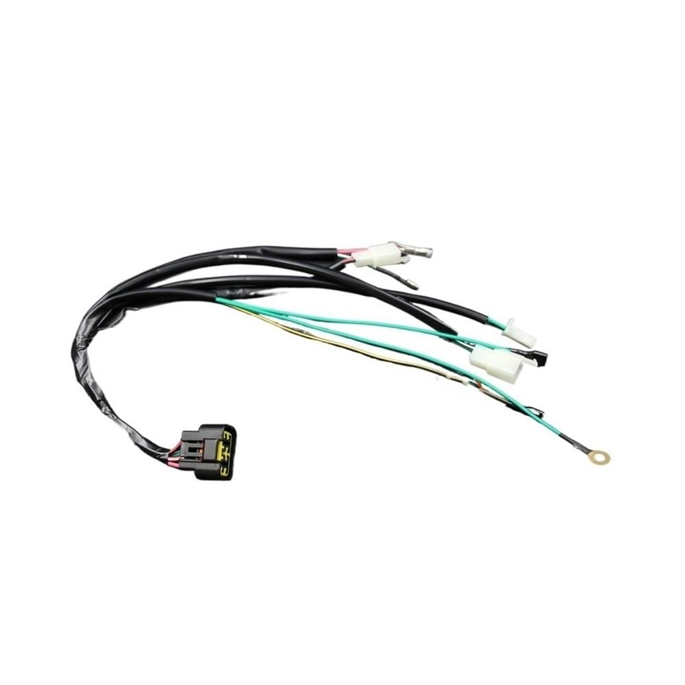 Arnés de cableado completo, bobina encendido, Kits CDI 8 pines para LIFAN W150cc ZS155cc para PIT PRO Trail Dirt Bike