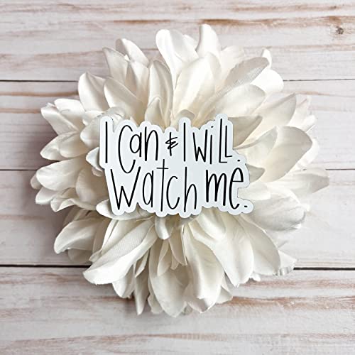 Swaygirls mental health sticker | Inspirational quotes stickers & decals | Waterproof vinyl sticker | Encouraging self care stickers for a hydro flask, laptop | Can & will