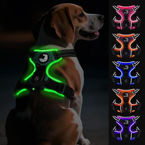 Joytale Pettorina luminosa per cani di taglia media, con LED, riflettente, con manico, regolabile, per passeggiate notturne, Verde, M