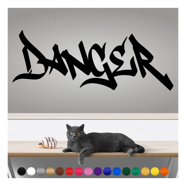Transform Your Walls with Professional Grade, Outdoor Weatherproof Vinyl Stickers - AAnother Tag - UV Resistant, Made in The USA! Inspirational Words: Danger: 24 Inch, Hot Pink
