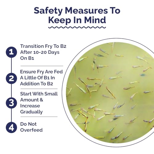 Image of Intan Breeder & Grower Food - B2 (0.2-0.4mm Slow Sinking Crumble) | 35gm - Highly Nutritious Ornamental Fish Food for A Range of Feed from Fry to Grow Out Stage for Viviparous & Oviparous Fish