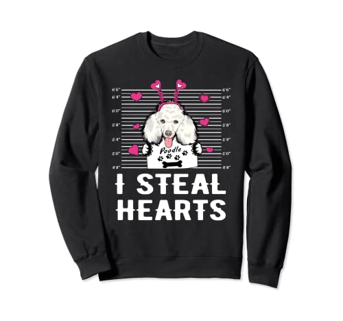 Poodle I Steal Hearts Valentine Dog Funny Valentines Day Sudadera