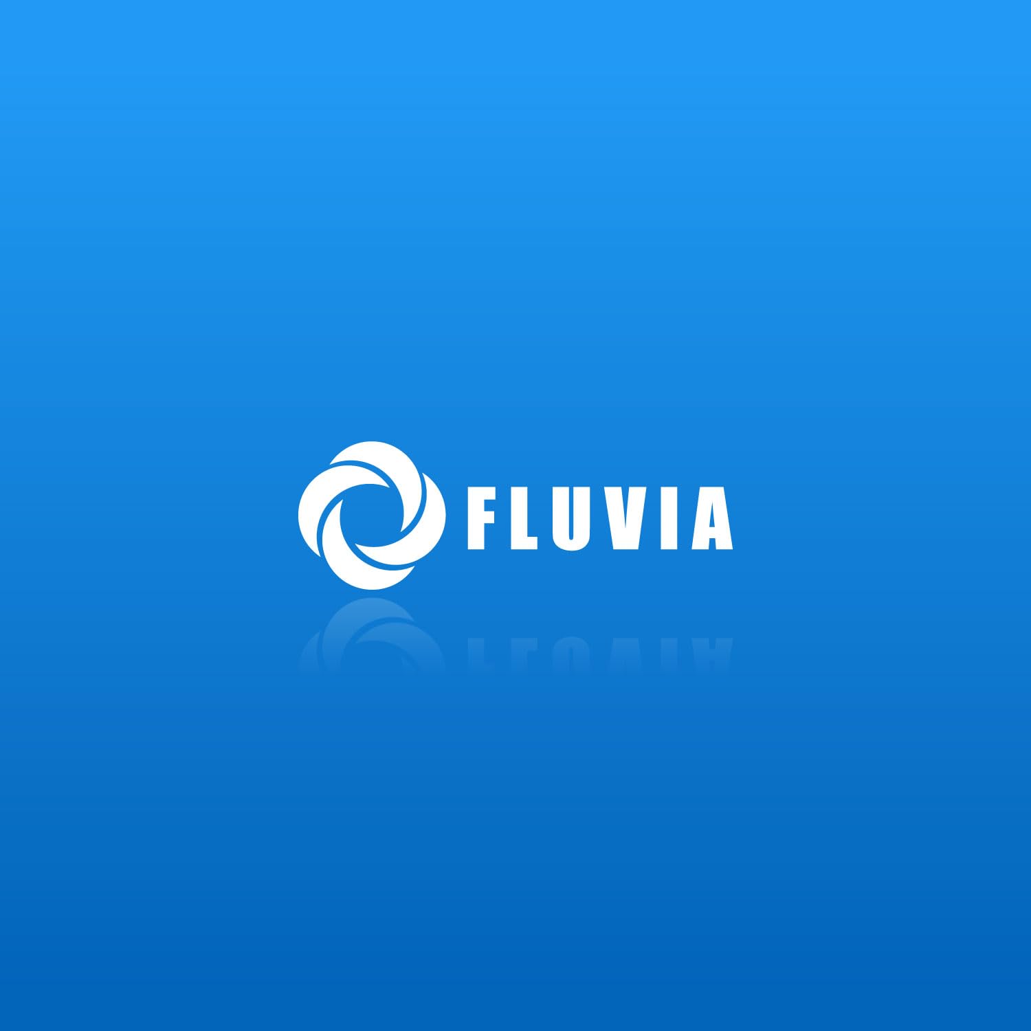 FLUVIA Déchargeur de chasse d'eau universel avec base et caoutchouc - Mécanisme WC interrompu, montage facile - Compatible avec les réservoirs à double chasse - Base filetée - Caoutchouc de fermeture