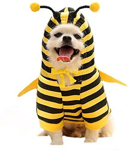 Maiitmor  p TVc ĨX^C  RX`[  ybgnEB NX}X  RXv ϐg n` ϑ _炩 TSt[X h R[g lC t@bV^ ^ tH~ Lp UoE