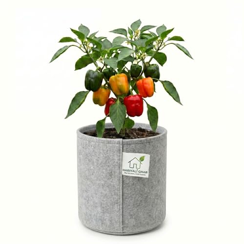 Image of 400 GSM Geo Fabric Round Grow Bags 6x6 Inch, Grey Planting Bags for Terrace and Kitchen Gardening Pack of 1