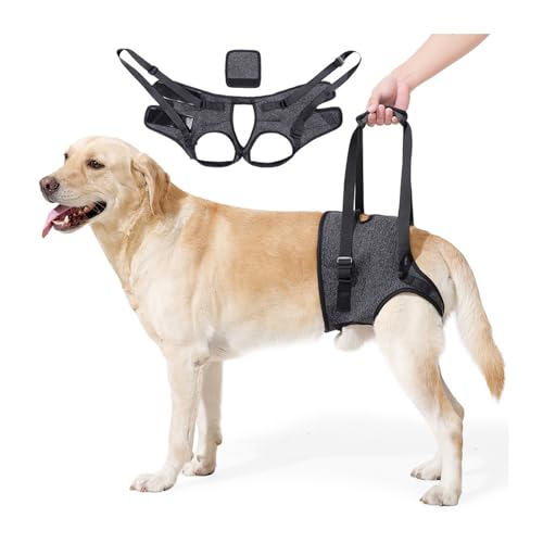 pn[lX ⏕xg | V sT|[g Ȃ݌v | ^^܂ 􂦂f [ht Ȍn[lX Up pi - n[lX02 - ǎ - STCY [sAi]