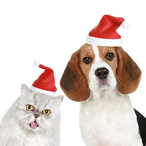 Disfraz para mascota con gorro navideño rojo ajustable miniatura 7