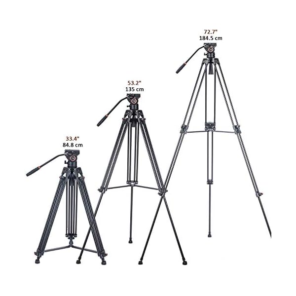 Video Stativsystem, Cayer BV30L 72 Zoll - Professionelles Hochleistungs-Aluminium-Doppelrohrstativ, K3-Fluidkopf… – Bild 5