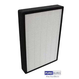 PUREBURG Replacement Filter Compatible with QooXoo QXPure9 Air Purifier, H13 HEPA Activated Carbon 2-in-1