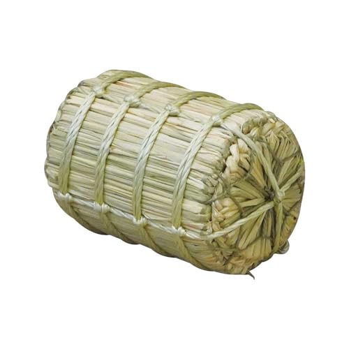 }R[ ĕU fBXvCp 3kgTCY 17xL25cm 45603