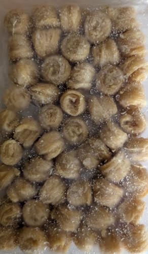 ܂蓒t Ⓚ 50 Ɩp ^CY