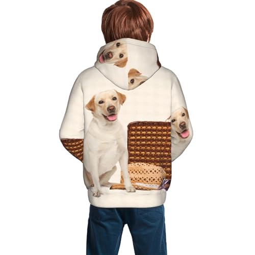 Labrador Dog Boy, Girls Sports Shirt Youth Pullover Fashion Hooded Sweatshirt2