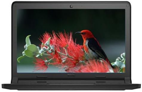 DELL Chromebook 3120 Laptop With 11.6-Inch Display,Intel CeleronProcessor/2nd Gen/2GB RAM/16GB SSD/256MB Intel HD Graphics English Black Renewed