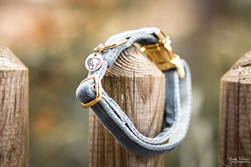 Collier pour chien velours bleu clair grand format ajustable L - 7