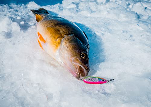 Northland Fishing Tackle Glass Buck-Shot Ice Fishing Jigging Spoon, Glo White, 1/8 Oz For Walleye, Perch, And Crappie #TOP5