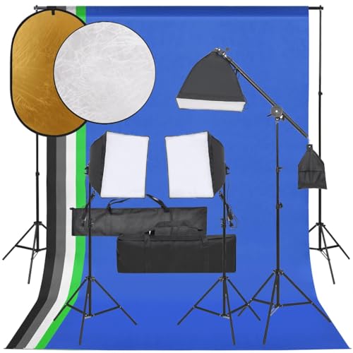 vidaXL Kit de Estudio Fotográfico con Set de Luces, Fondo y Reflector Soporte Pantalla Foto Video Sistema Lámparas Luz Iluminación Plegable