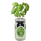 Environet Hydroponic Growing Kit, Self-Watering Mason Jar Herb Garden Starter Kit Indoor, Windowsill Herb Garden, Grow Your Own Herbs from Organic Seeds (Basil)