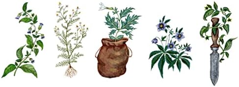 Wild Witchcraft: Folk Herbalism, Garden Magic, and Foraging for Spells, Rituals, and Remedies