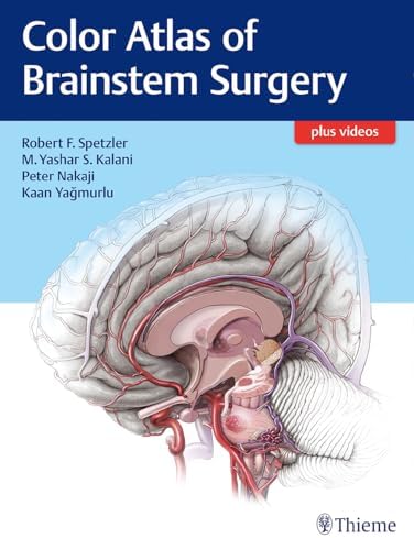 Color Atlas of Brainstem Surgery: 9781626230279: Medicine & Health
