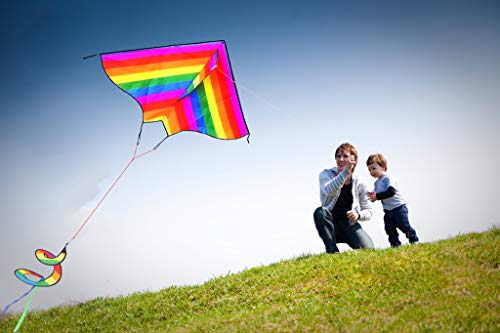 ZHUOYUE Delta Rainbow Kites for Kids and Adults, Easy to Fly Single Line Nylon Kite with Long Tail 45"x25" Inch - Thumbnail 4