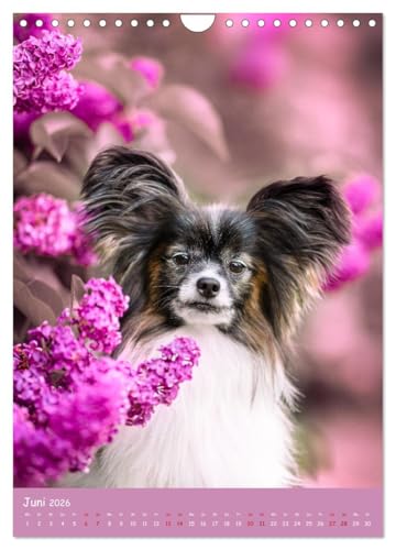 Flora Canidae - der Hunde-Blühpflanzen-Kalender (Wandkalender 2026 DIN A4 hoch), CALVENDO Monatskalender: Hunde und blühende Pflanzen streicheln die Seel, sie machen glücklich! (CALVENDO Tiere)