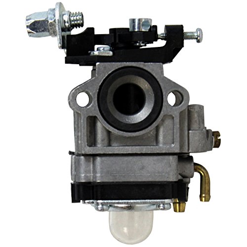 GT Garden Carburateur pour Taille-Haies