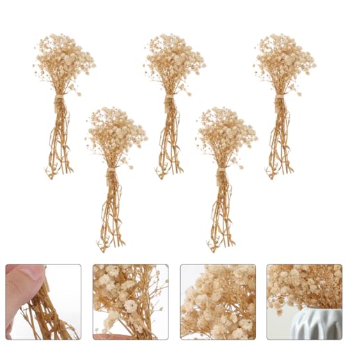 Ramo de flores secas Gypsophila natural 5 piezas miniatura 7