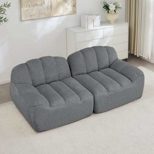 NADEUSAK Sofá modular de 2 plazas, sin desnudos, con forma de concha, cojín profundo para el salón, el apartamento, no requiere montaje, color gris