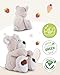 NICI Kuscheltier Bär Bendix 20cm Green I Schlenkernder Teddybär mit großen, knuffigen Tatzen I Plüschtier für Schmusetierliebhaber I Stofftier – 49436