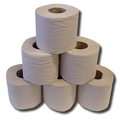 Preisvergleich Produktbild Recycling-Toilettenpapier, Toilettenpapier Großpackung, WC-Papier Kleinrollen, Klopapier, 1 lagig, 400 Blatt, 64 Rollen