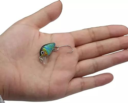 Foto von Mini Wobbler Set für Forelle, Barsch, Hecht, Döbel, Zander extra klein nur 2,6cm lang und 2g schwer Forellenwobbler Crankbait (10er Set Einzelhaken Schwimmend Box)