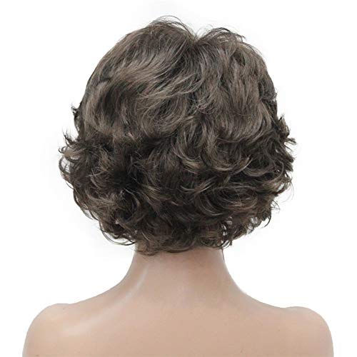 Aimole Short Curly Synthetic Wigs Full Capless Hair Women's Thick Wig for Everyday (8 Lt Chestnut Brown)