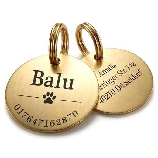 Personalisierte Edelstahl Hundemarke