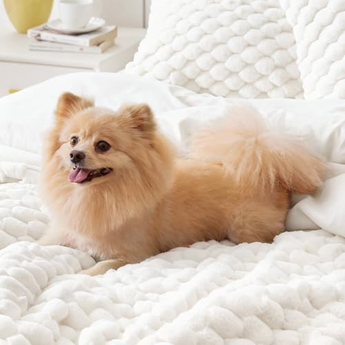Image of BEDELITE Fluffy Twin Comforter Set - Cream White Fleece Soft Comforter for Twin Size Bed, Luxury Warm Bedding Set for Winter, Fuzzy Bed Set 2 Pieces (1 Comforter, 1 Pillowcase)