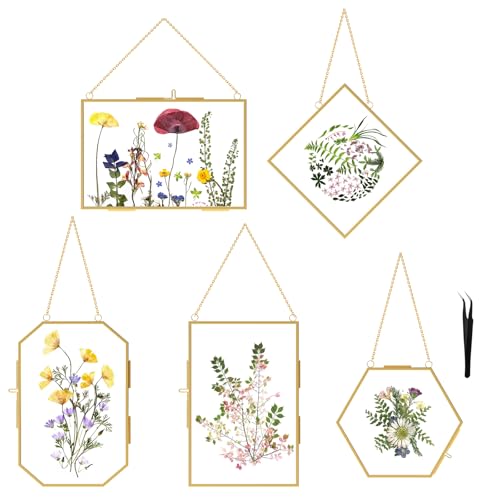 FOCHIER F 5 Pcs Pressed Flower Frames with Tweezers Wall Hanging Tabletop Display Double Glass Frames with Metal Chain for Pressed Dried Flowers Plants Horizontal and Vertical Picture Frame Golden