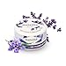 Shadazzle Natural All Purpose Cleaner and Polish – Eco Friendly Multi-Purpose Cleaning Product – Cleans, Polishes & Protects Any Washable Surface (Lavender)