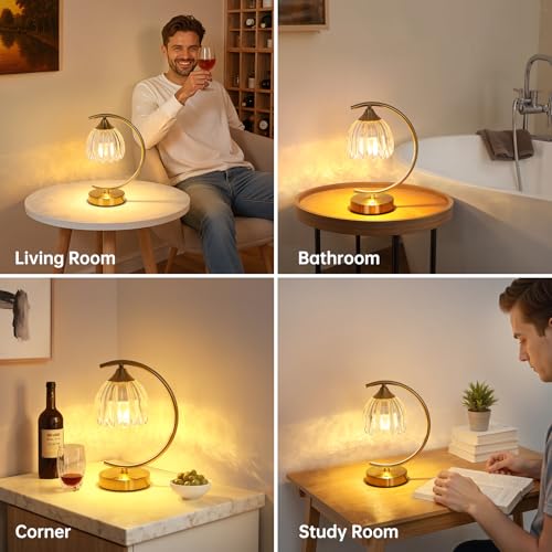 Image of Shenmoyl Set of 2 Tulip Table Lamp, 5200mAh Cordless Touch Control Table Lamp with 3 Color Temps & Stepless Dimming, Rechargeable Battery Table Lamp for Living Room, Bedroom, Shelf (Transparent Tulip)