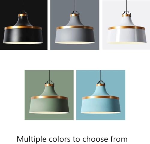 Lustre Pendentif Industriel en Métal Noble et Fixation Plafond Ajustable E27