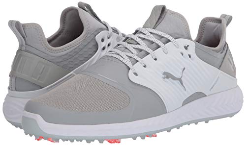 Puma Golf Men's Ignite Pwradapt Caged Golf Shoe, Gray Violet-Puma Silver-Peacoat, 10.5 Wide Us #TOP6