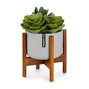 Fox & Fern Enkele houten plantenstandaard met plantenpot voor binnen, plantenstandaards en plantenpotten voor huizen/kantoren, stevige ecologische plantenpotstandaard, eenvoudig te monteren