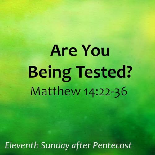 Are You Being Tested?