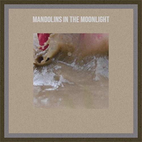Mandolins in the Moonlight VARIOUS ARTISTS Digital Music