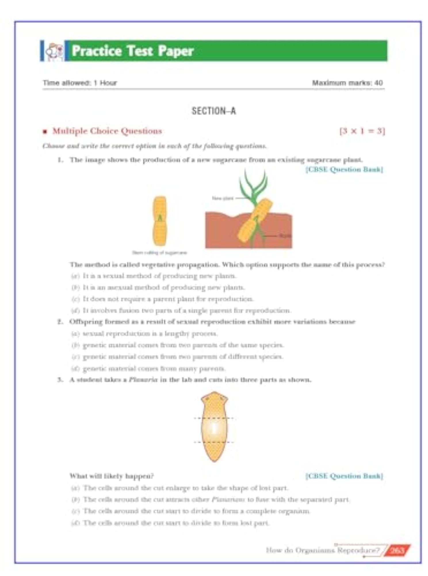 Xam idea Science Class 10 Book CBSE