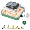 24 Egg Incubator for Hatching Eggs, 360 View Poultry Incubator, Automatic Egg Turning, Temperature & Humidity Display, Auto Water Refilling System, Egg Candler, Multifunctional Egg Tray for Chicken