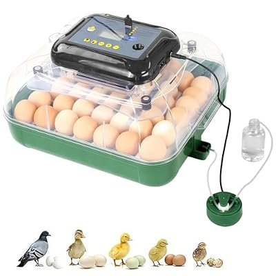 24 Egg Incubator for Hatching Eggs, 360 View Poultry Incubator, Automatic Egg Turning, Temperature & Humidity Display, Auto Water Refilling System, Egg Candler, Multifunctional Egg Tray for Chicken