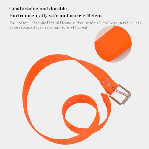 Gaderth Rubber Weight Belt, Diving Weight Belt with Stainless Steel Buckle, Quick-Release Diving Belt Ensures Safety On The Water, Weight Belt for Freediving, Spearfishing, Scuba Dive White