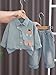 WIAINIBIBI Baby boy and girl spring autumn set fashion cartoon shirt+denim pants 2-piece set (blue, 2-3Y)
